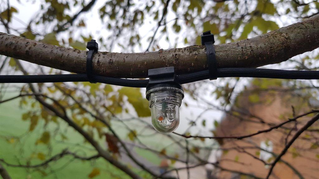 Small festoon light cabled tied to a tree branch
