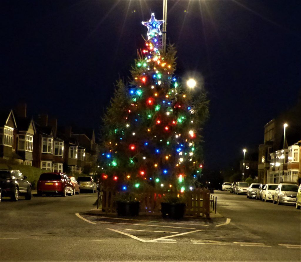 Christmas tree lit up with festoon lighting