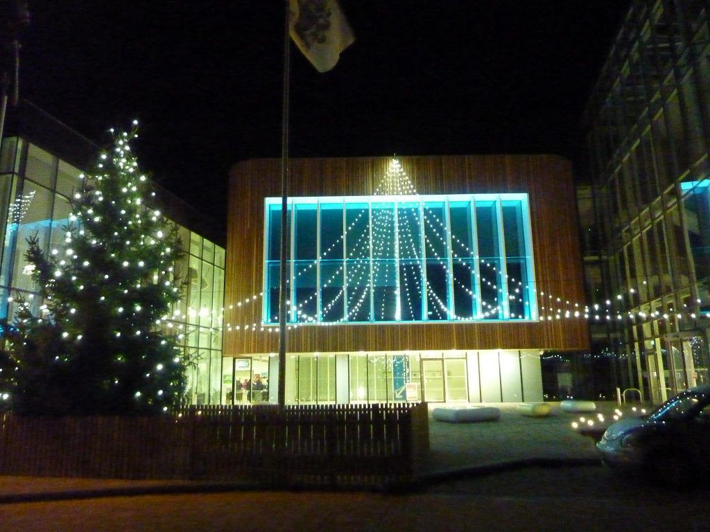 Christmas lighting display using ECO LED Small Harness