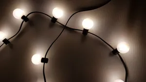 Orbical LED festoon light module