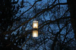 Single lantern hanging in a tree at night