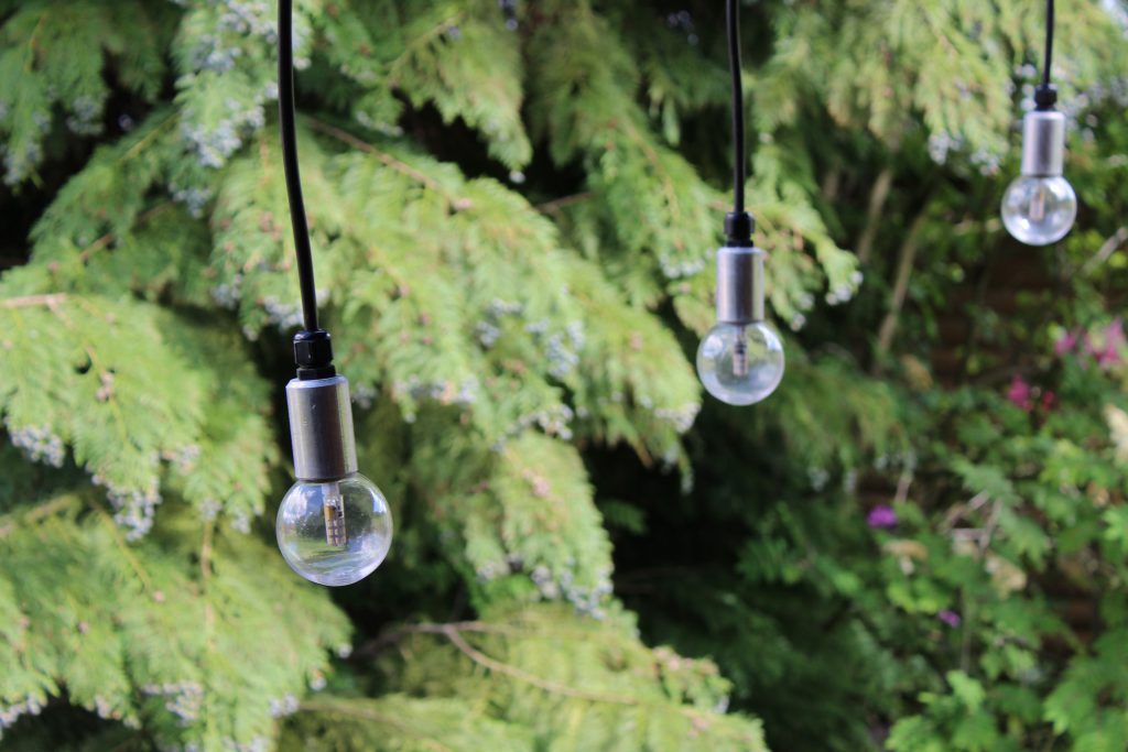 Soft focus pendant festoon lights hanging in front of fir trees