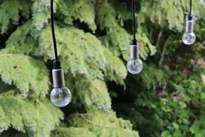 Soft focus pendant festoon lights hanging in front of fir trees