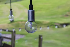 Soft focus image of pendant festoon lights hanging in garden