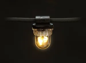 Small ECO LED harness with warm light dome