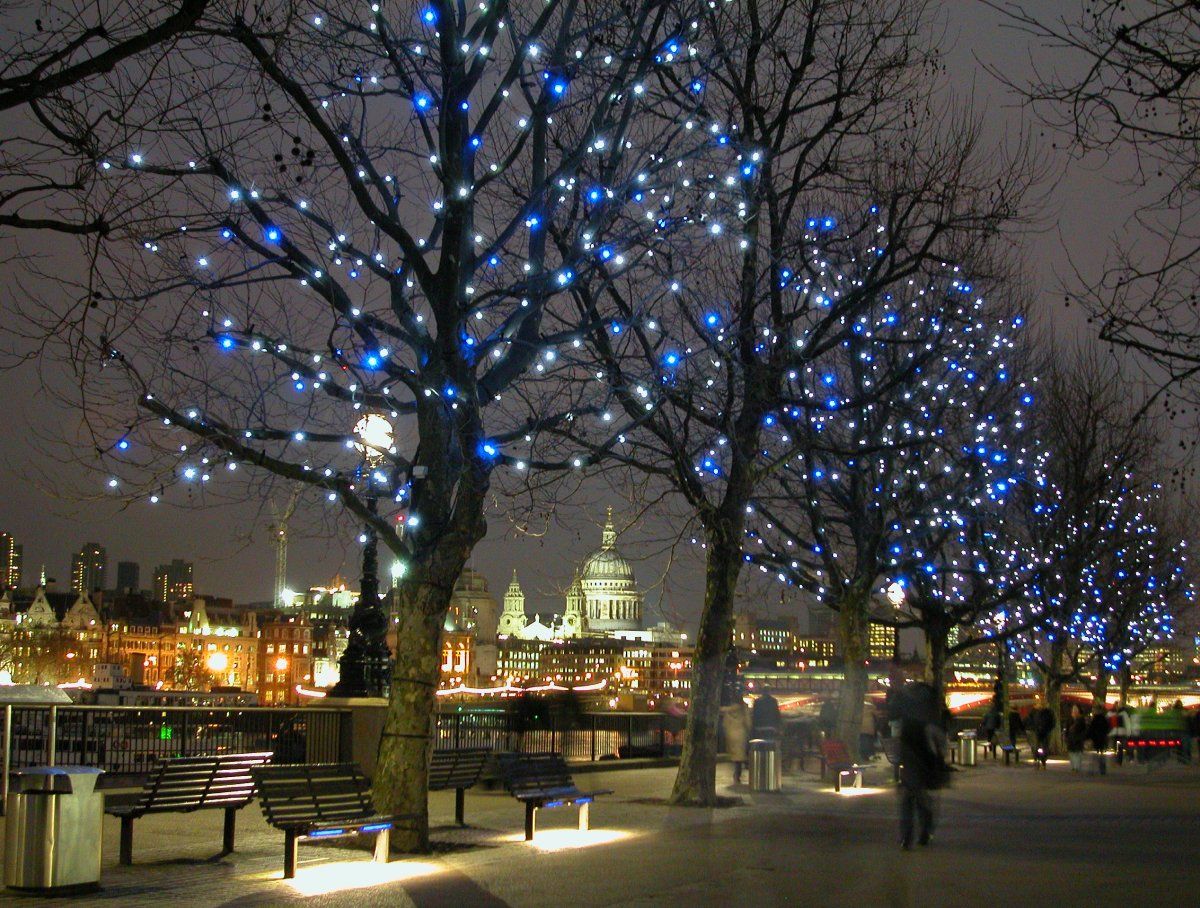 Festoon lights in trees on the Southbank with St Paul's Cathedral in the background